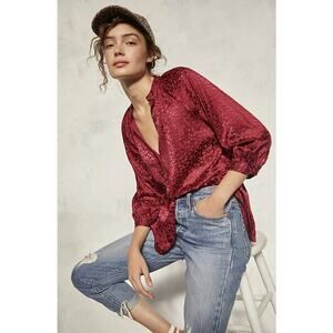 Anthropologie Susanna Burnout Velvet Buttondown
